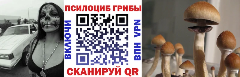 Галлюциногенные грибы MAGIC MUSHROOMS Ковылкино